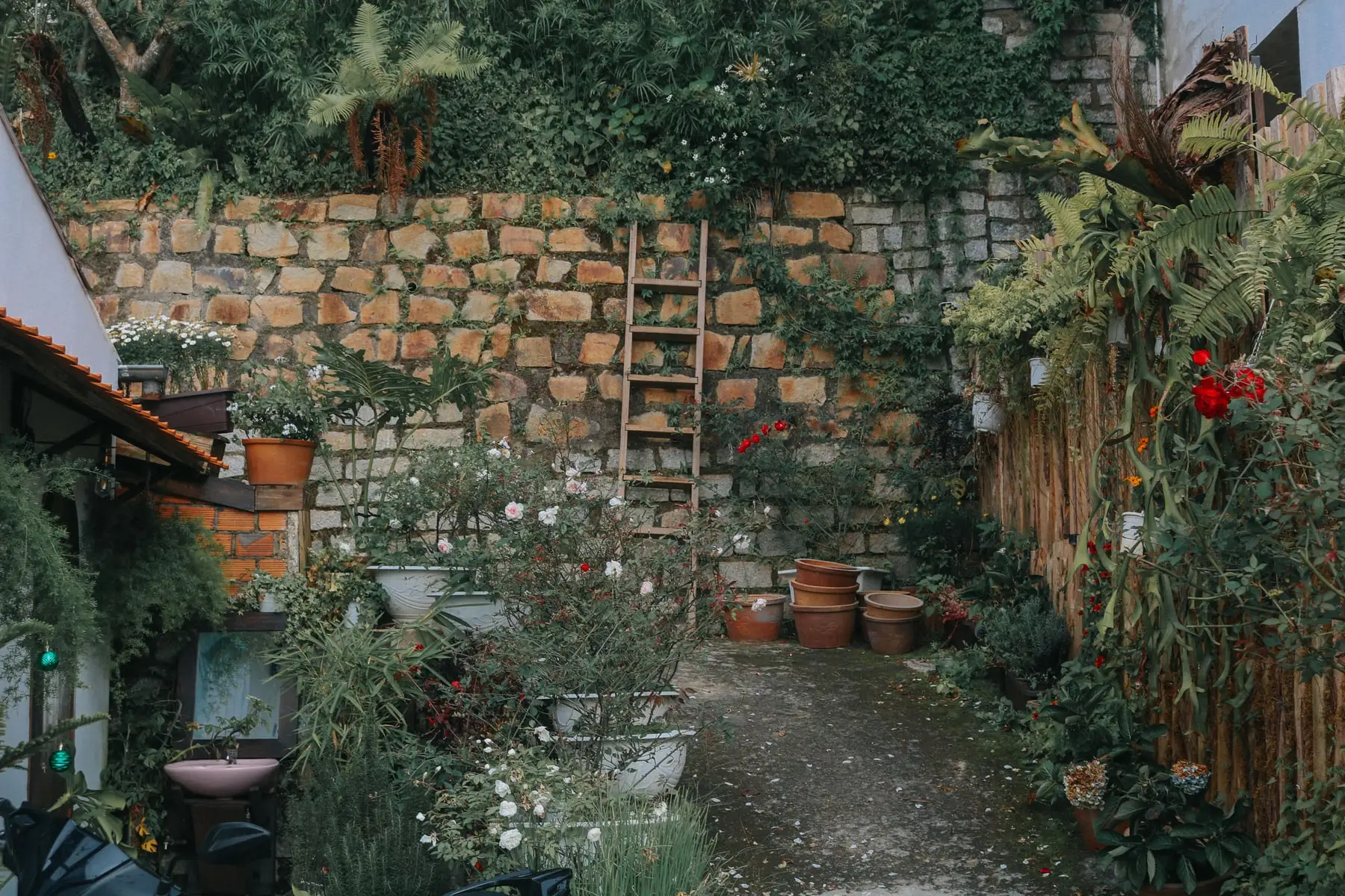 A walled garden with planting along the terraces