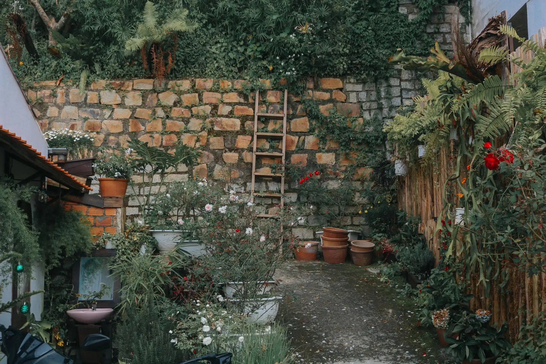 A walled garden with planting along the terraces